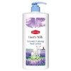 Milk&Dew Goat Milk Lavender Calming Body Lotion, 1 pack, 1L / 밀크앤듀 산양유 라벤더 카밍 바디로션, 1개, 1L