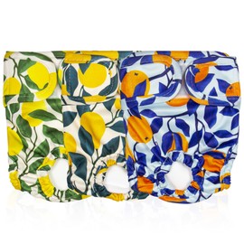 Pet Magasin Reusable Washable Dog Diapers (Pack of 3), Highly Absorbent with Strong & Flexible Closure (Botanical Fruit, Medium (14”-20” Waist))