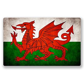 2 x Welsh Dragon Wales Flag Vinyl Sticker - Standard or Window Cling #0026/VS (15cm Wide x 9.5cm Tall, Static Cling (Windows))