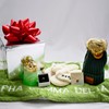 Sorority Shop Gamma Phi Beta Ornament - 8cm Clear Plastic