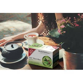 H&S Säure-Basen-Tee mit Zink, 3 x 20 Beutel (à 2,0 g): Basischer Kräutertee mit Grüntee und Zinkzusatz, 3er Pack