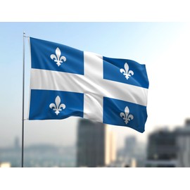 Large Canada Quebec Province Flag 6x10FT Big Canadian QC Flag Vivid Color Fade Resistant Polyester with Brass Grommets Indoor Outdoor (Quebec, 6x10FT)