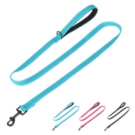 PUPTECK Reflective Dog Leash with Comfortable Padded Handle Durable Nylon Dog Lead for Small Medium and Large Dogs Cats Walking Running Training Outside, Teal, M