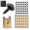 100 Stück Karosserieschrauben, 50 Sätze Blechmutter Schraube Mutter Clip Kit,