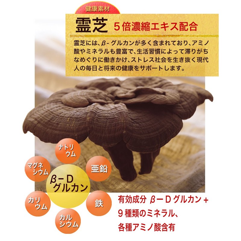 大日ヘルシーフーズ 霊芝にんにくの力 30粒入×2袋 にんにく卵黄 霊芝 高麗人参 マカ 亜鉛 配合 サプリ