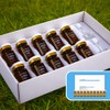 Dessembre Activator Hydra Full Moisture Ampoule Skin Moisturizing 7mlx10ea /