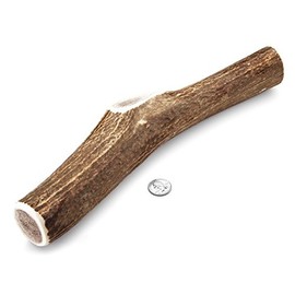 Mountain Dog Chews - Mammoth Whole Elk Antler - Elk Antler Dog Chew - Grade A Premium - Organic - Made in USA - No Mess