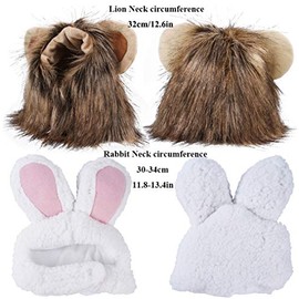 Juego de 2 pelucas de melena de león para disfraz de gato, conejo, sombrero de conejo con orejas, cosplay, disfraz de Halloween, accesorios para gatos y perros pequeños