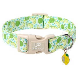 UP URARA PUP Summer Dog Collar-Refreshing Lime Pet Collars-Adjustable, Comfortable & Durable Puppy Collars for Small, Medium, Large Dogs