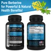 Berberine Supplement Capsules - 1200mg Berberine HCL Supplement for Healthy