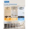 Passky 19.7” Low Profile Ceiling Fan with Lights and Remote,
