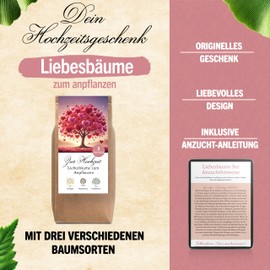 Hochzeitsgeschenk Anzuchtset Liebesbäume Hochzeitsgeschenke für Brautpaar Liebesbäume Geschenk Hochzeit kleine Aufmerksamkeit Hochzeitsbaum Baum Pflanzen Samen Set (Variante 4)