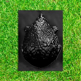 BETONEX Cement Hedgehog Mold, 10x10x5 inches, Black, Concrete Sculpture DIY Mold for Garden Paths