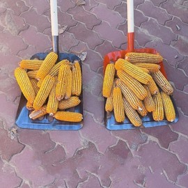 ZenithPrime Gardening Grain Shovel, Manganese Steel Farm Sieve Shovel, Spade Collect Corn Cob with Mesh for Gardening Farm Tools