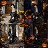 Halloween Goose Outfit Clothes,Hat,Skirt,Broom, Set for 23 Inch Cement Geese