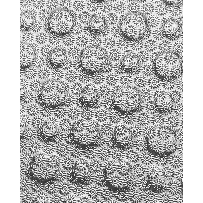 Dynesse Premium Laser Callus Rasp with Mini Callus File Callus