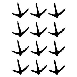 Turkey Prints Tracks Animal - Sticker Graphic - Auto, Wall, Laptop, Cell, Truck Sticker for Windows, Cars, Trucks