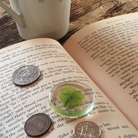 Real Four Leaf Clover "Good Luck Pocket Token" Traditional Lucky Amulet in Your Pocket Real Four Leaf Clover Preserved Dolphs Preserved Flowers