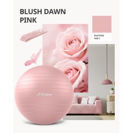 Trideer Yoga Ball - Exercise Ball for Workout pilates Stability - Anti-Burst and Slip Resistant for physical therapy, Birthing, Stretching & Core Workout, Office Ball Chair, Flexible Seating, Home Gym