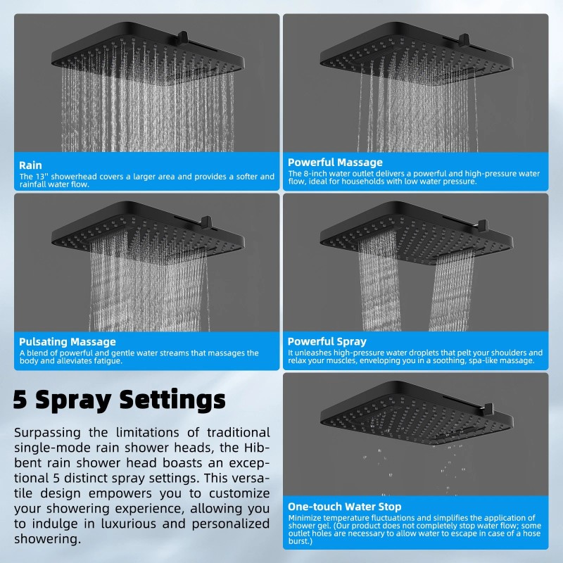 Hibbent Upgraded 13'' Dual Filtered Rainfall Shower Head Combo with