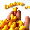 Mini Resin Ducks, Dollhouse Miniature Tiny Resin Ducks, Terrarium Fairy