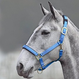 Shires Topaz Nylon Headcollar-Blue Cob