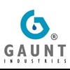 Gaunt Industries HYPO-250 - Epoxy & Cement Applicator - Precision