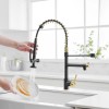 Modern Single-Hole Matte Black with Gold Pull Down Kitchen Faucet