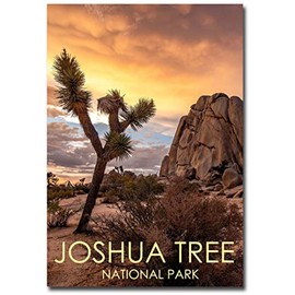 Joshua Tree National Park, California Sunset Fridge Magnet Size 2.5" x 3.5"