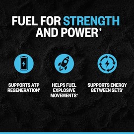 ONNIT Polvo de monohidrato de creatina, IGEN(TM) probado sin OMG, 0.18 oz de creatina premium para fuerza muscular, potencia y masa magra, apoya la sa