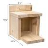 Woodlink NASQBOX Audubon Squirrel Munch Box Feeder