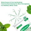 Holy Rose Mint Twin Line Dental Floss Picks - 300