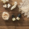 Daily Aroma Essential Oil Bergamot (0.6 fl oz (2 ml)