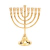 Yair Emanuel Hannukah Menorah Classic Bronze Rounded Branches