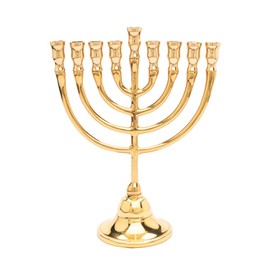 Yair Emanuel Hannukah Menorah Classic Bronze Rounded Branches