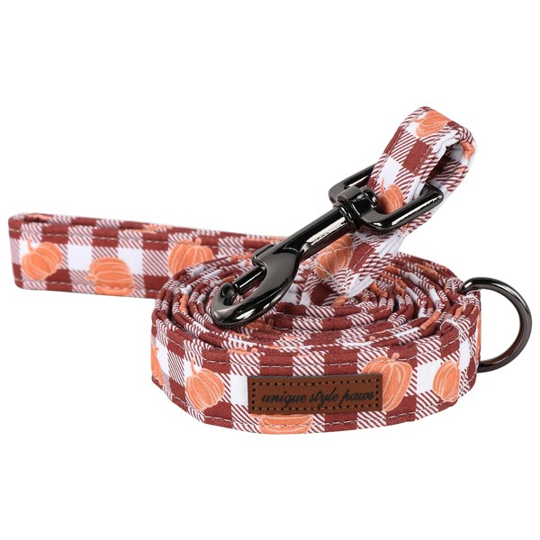 Unique style paws Halloween Dog Lead Suitable for Pumpkin Checked