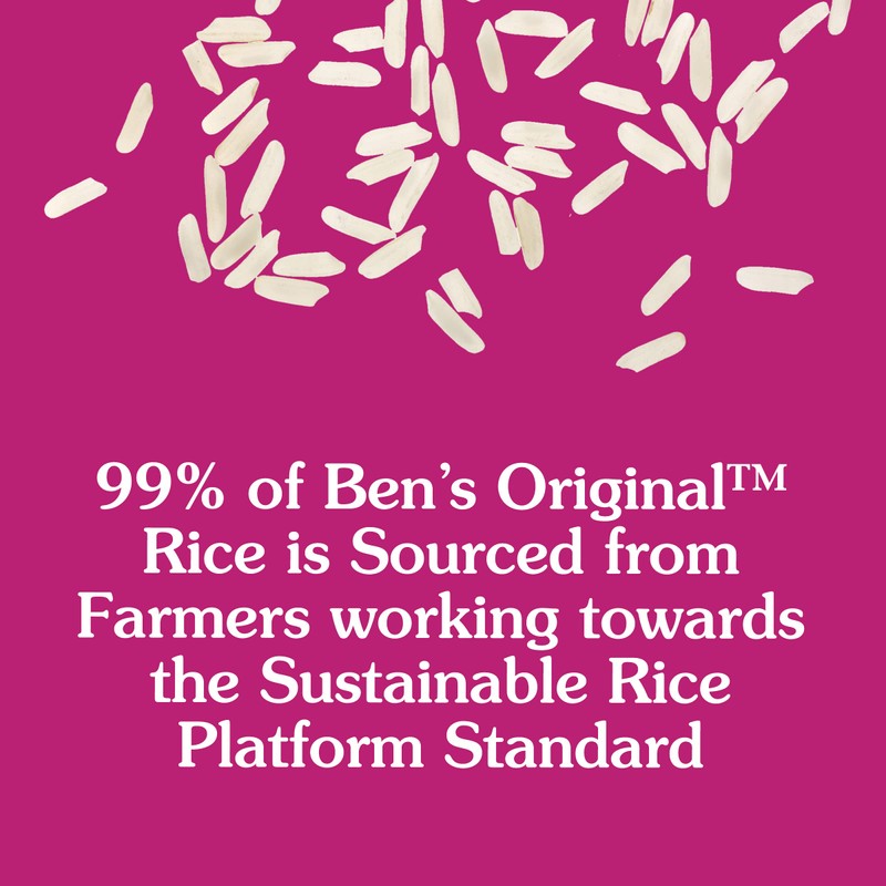 BEN'S ORIGINAL Ready Rice Garden Vegetable Flavored Rice, Easy Dinner