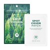 SKIN1004 Spot Cover Patch 22ea