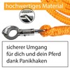 Lead rope with panic hook for horse in various stylish