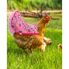 ABONDEVER 6pcs Hen Saddle Apron，Waterproof Chicken Saddle Hen Apron with