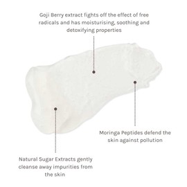 Evolve Organic Beauty - Natural Daily Detox Facial Wash | Small-Batch, Vegan Clean Beauty (3.4 fl oz | 100 mL)