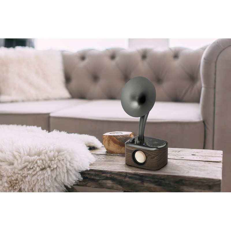 WR-45 black (Euphonic 450) A500432