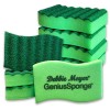 Debbie Meyer GeniusSponges-
