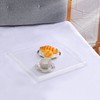 ATOZONE Extra Large Clear Modern Acrylic Ottoman Tray with Cutout