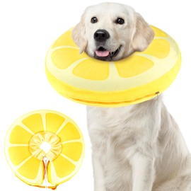 Recovery Collars & Cones (Large)