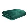 HOMLA Red Fleece Blanket Fluffy and Warm - for Couch
