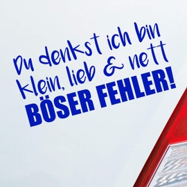 Hellweg Druckerei Car Sticker "Du denkst ich Bin klein, lieb & nett Böser Fehler" Rear Window Sticker
