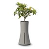 Botanium Hydroponic and Automatic Indoor Gardening Pot, Grey