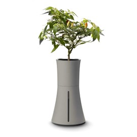 Botanium Hydroponic and Automatic Indoor Gardening Pot, Grey