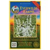 Everwilde Farms - 2000 Prairie Sage Native Wildflower Seeds -